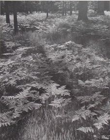 : item #3, image 3