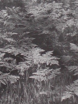 : item #3, image 4