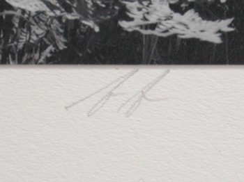 : item #3, image 5