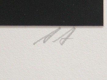 : item #4, image 6