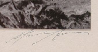 : item #2, image 3