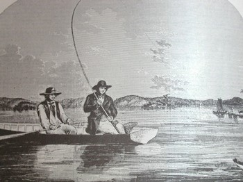 : item #48, image 2