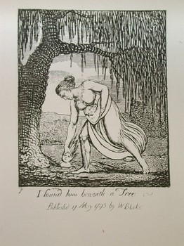 : item #92, image 3