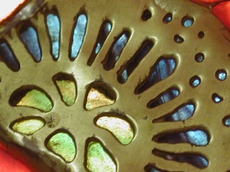 : item #1, image 14