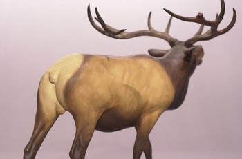 : item #27, image 4