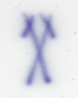 : item #46, image 4