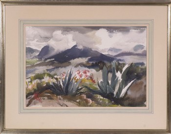 : item #17, image 1